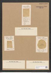Campylodiscus ecclesianus Grev. (de-Toni-Nr.: Genus 57, Species 2487) Zeichnungen Sammlung Grunow Nr. 4997 (NHMW-BOT-W0373241)